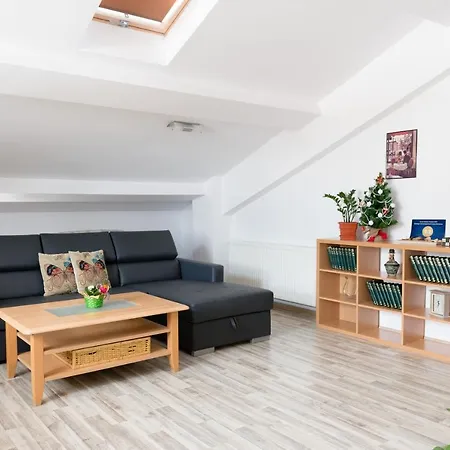 Romexpo Luxury - Aproape De Centru Si Parc Herastrau! * Bucureşti