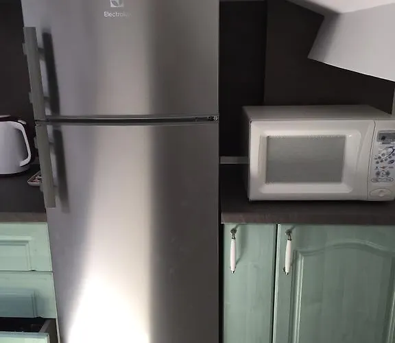 Romexpo Luxury - Aproape De Centru Si Parc Herastrau! Apartament *